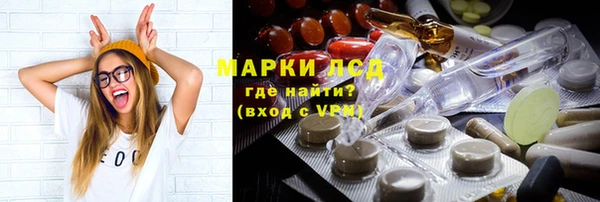 ГАЛЛЮЦИНОГЕННЫЕ ГРИБЫ Ельня