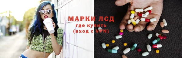 ГАЛЛЮЦИНОГЕННЫЕ ГРИБЫ Ельня