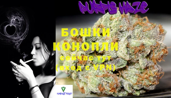 ECSTASY Елизово