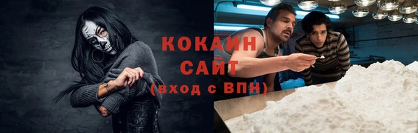ГАЛЛЮЦИНОГЕННЫЕ ГРИБЫ Ельня