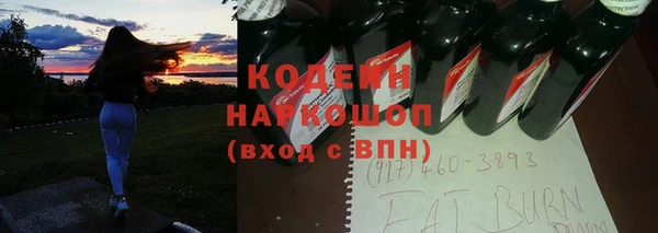 ГАЛЛЮЦИНОГЕННЫЕ ГРИБЫ Ельня