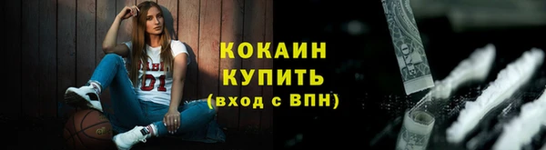 ГАЛЛЮЦИНОГЕННЫЕ ГРИБЫ Ельня