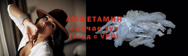ГАЛЛЮЦИНОГЕННЫЕ ГРИБЫ Ельня
