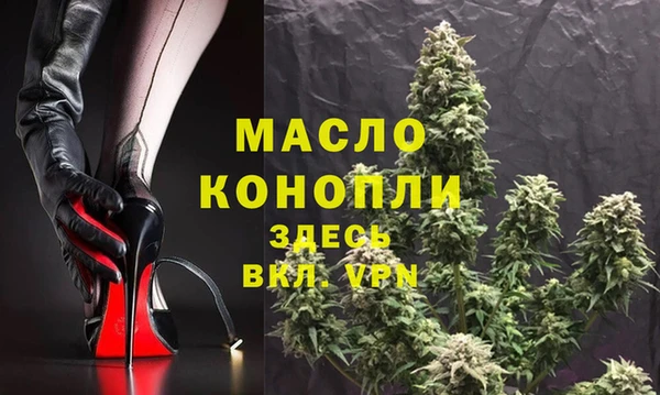ГАЛЛЮЦИНОГЕННЫЕ ГРИБЫ Ельня