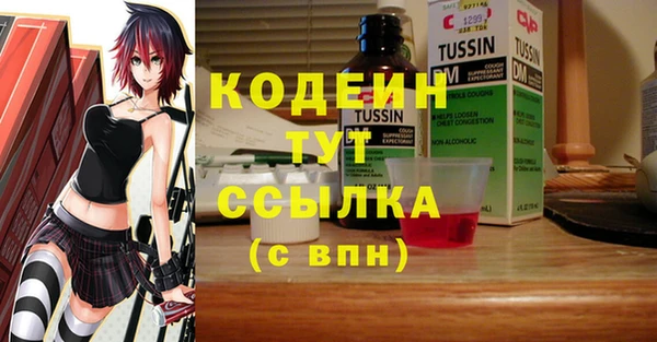ГАЛЛЮЦИНОГЕННЫЕ ГРИБЫ Ельня