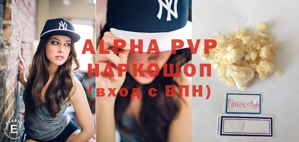 ГАЛЛЮЦИНОГЕННЫЕ ГРИБЫ Ельня