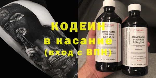 ГАЛЛЮЦИНОГЕННЫЕ ГРИБЫ Ельня
