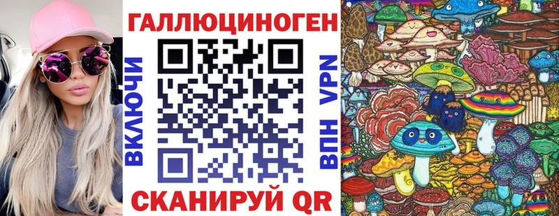 площадка состав  Каменногорск  Псилоцибиновые грибы прущие грибы 